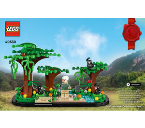 LEGO Jane Goodall Tribute Set 40530 Instructions