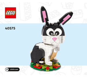 LEGO Year of the Rabbit Set 40575 Instructions