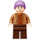 LEGO Mr Flume Minifigure