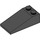 LEGO Black Slope 2 x 4 (18°) (30363)