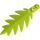 LEGO Lime Small Palm Leaf 8 x 3 (6148)