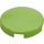 LEGO Lime Tile 2 x 2 Round with Bottom Stud Holder (14769)