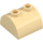 LEGO Tan Slope 2 x 2 Curved with 2 Studs on Top (30165)